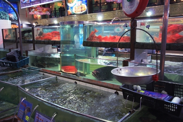 Рыбный ресторан в Гонконге